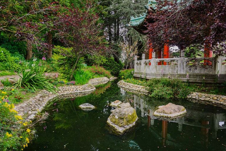 moat-and-chinese-pavilion-in-golden-gate-park-Z57DQCL